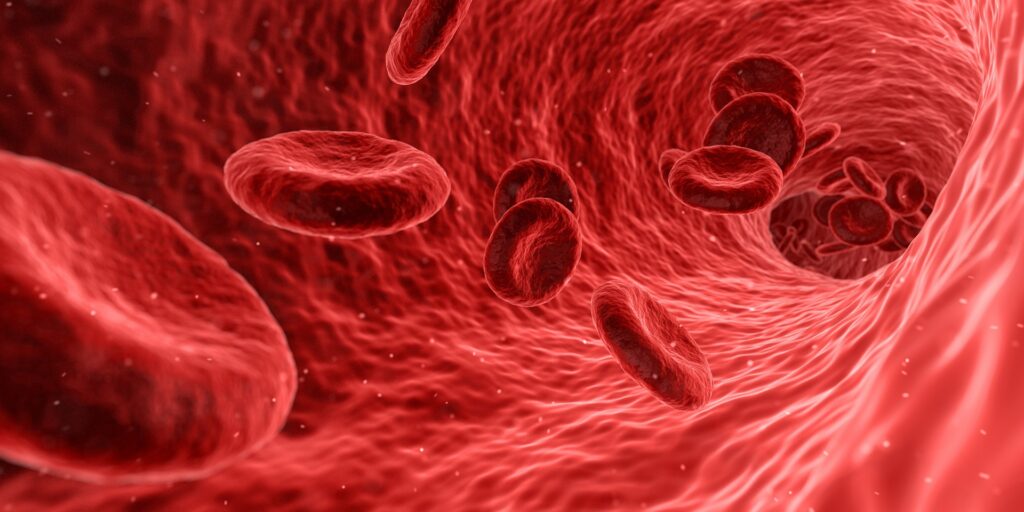 Fear of blood